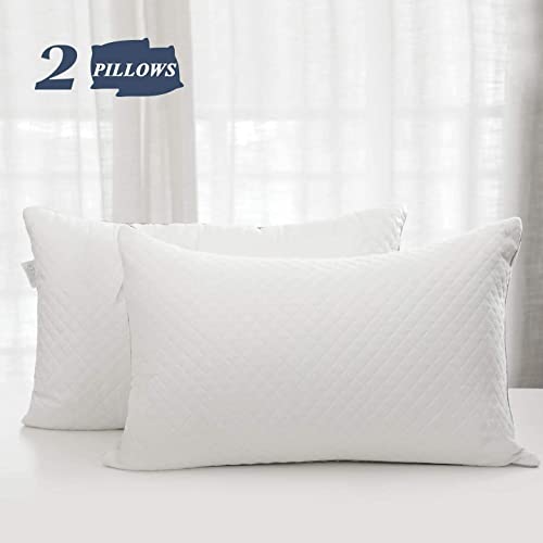 Pillows Standard Size Set of 2, Luxury Velvet Bed Pillows for Sleeping with Adjustable Filling, Hotel Collection Full Size Firm Pillows 2 Pack for Side, Back and Stomach Sleepers, Twin 20