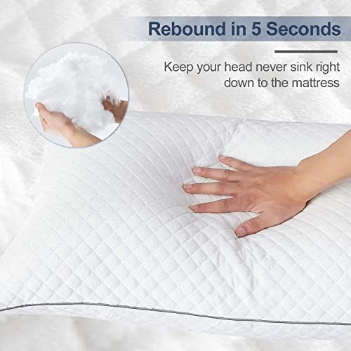 Pillows Queen Size Set of 2,Luxury Velvet Hypoallergenic Bed